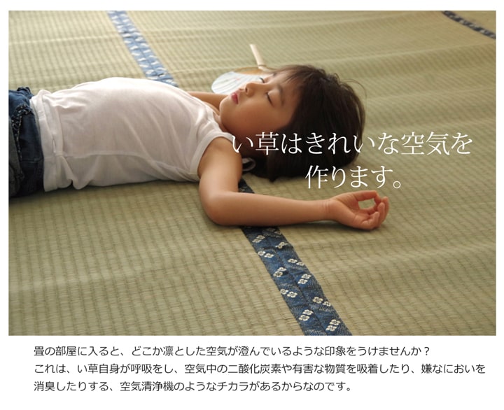 い草上敷き 梅花 六一間サイズ