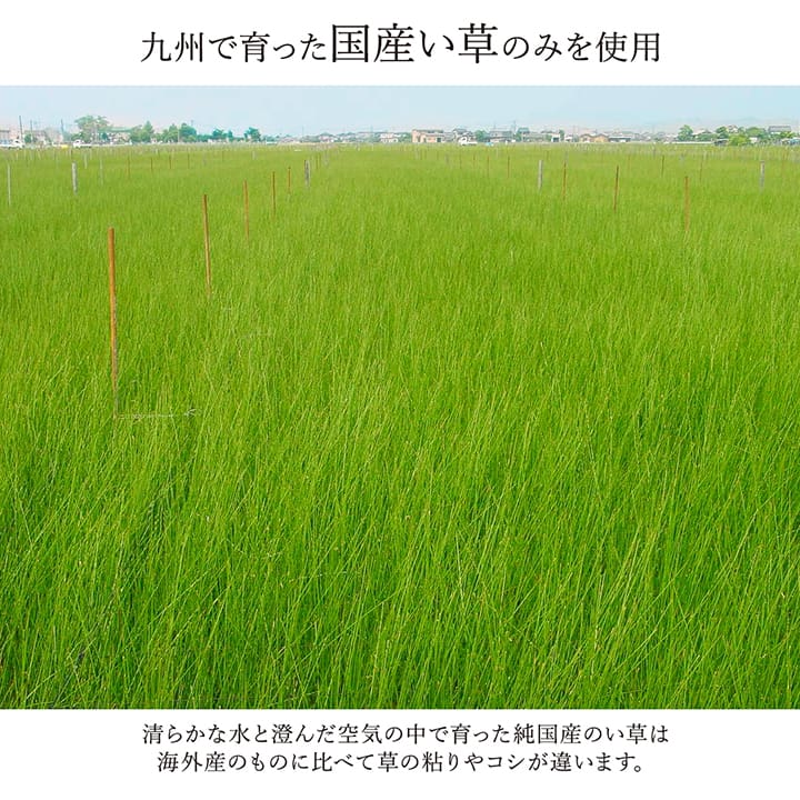 モダンデザインのい草ラグ 日本の職人により作られた和の美しさを持つ 江戸間サイズ ランクス