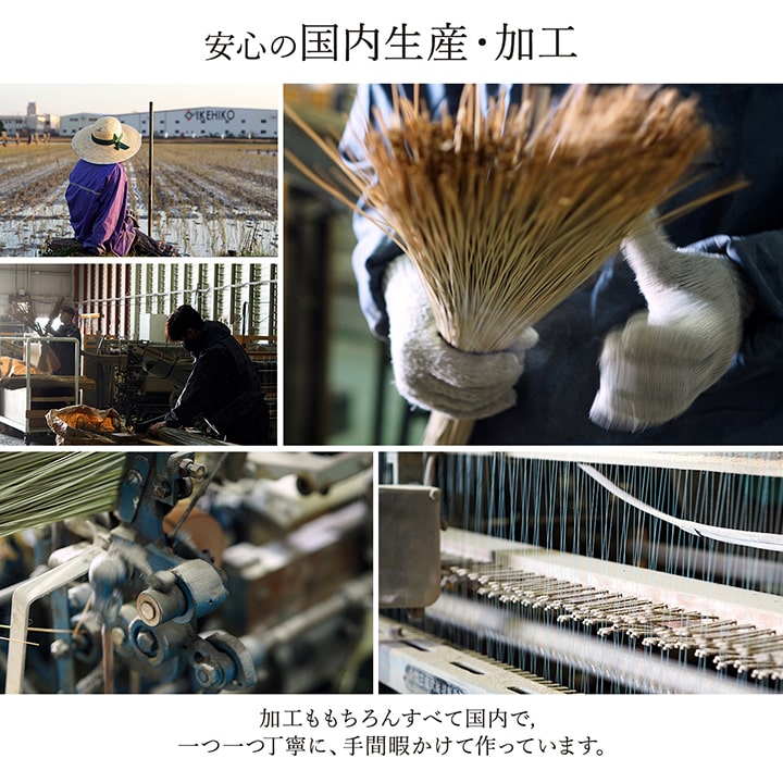 モダンデザインのい草ラグ 日本の職人により作られた和の美しさを持つ 江戸間サイズ ランクス