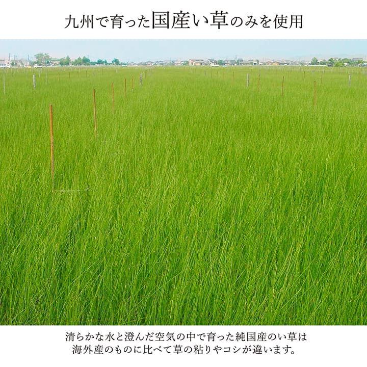 モダンデザインのい草ラグ 日本の職人により作られた和の美しさを持つ 江戸間サイズ 裏貼り加工 ランクス