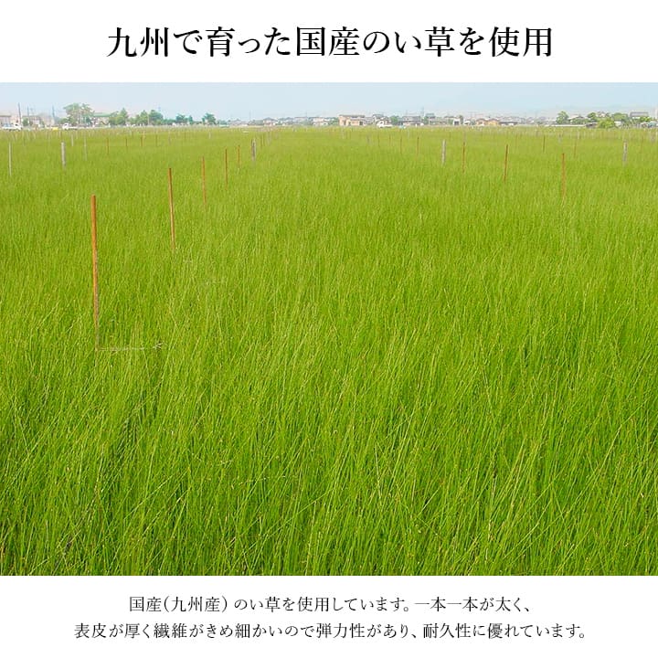 九州産のい草を使用した上がり框 なでしこ