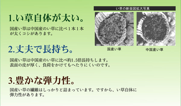 モダンな和柄のい草カーペット 五風 江戸間サイズ