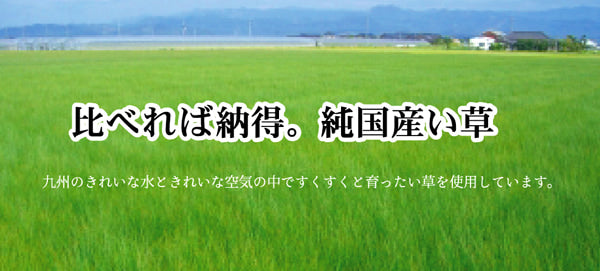 国産い草を使用したい草カーペット FUBUKI