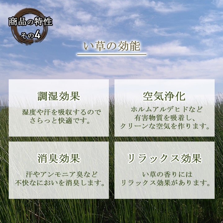 フローリングに置くだけ置き畳 なつかしい畳の香りと肌ざわり 清明
