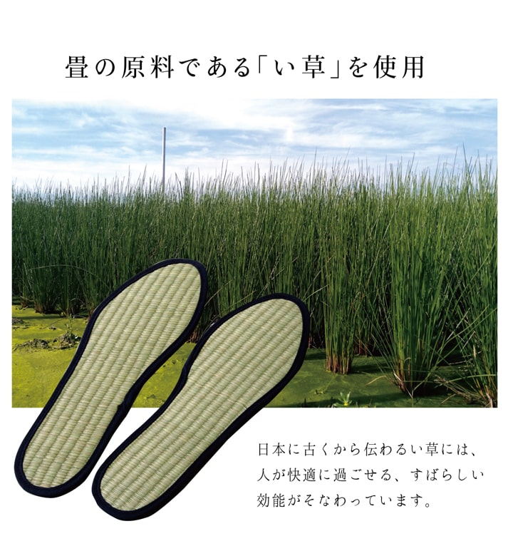 い草を使用したインソール
