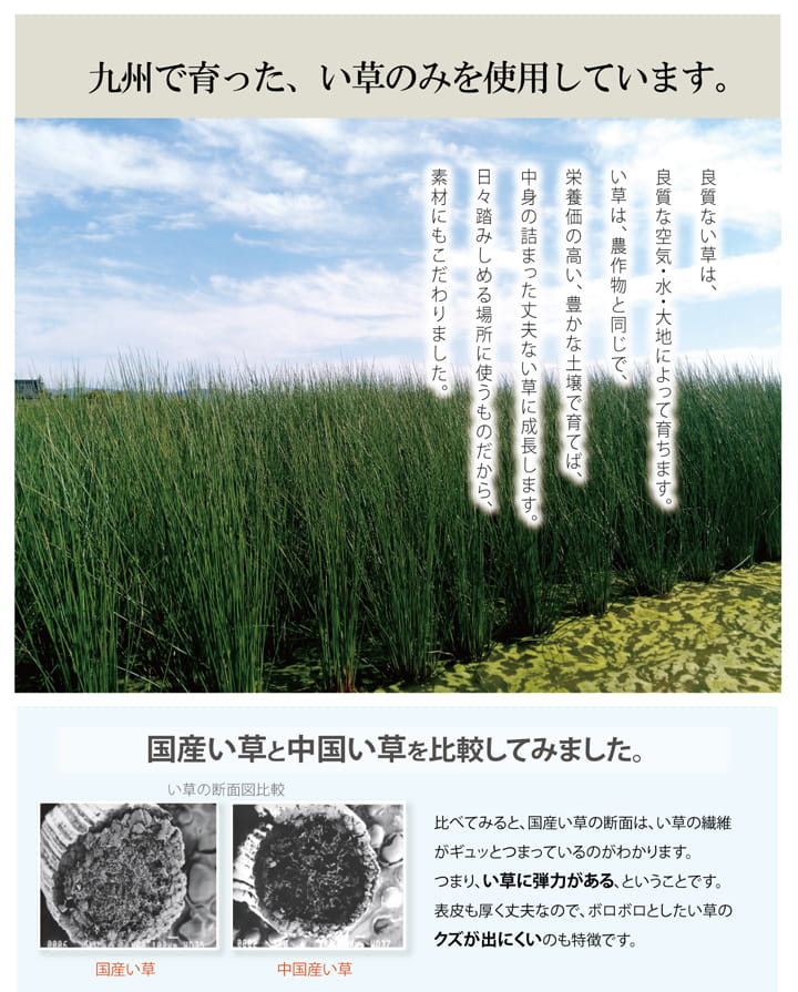 い草を使用したインソール