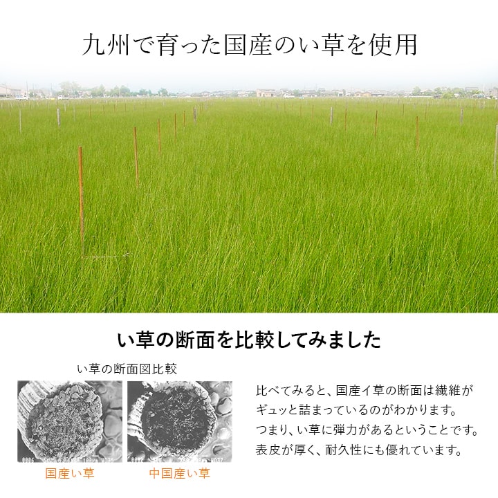国産のい草を使用した敷きパッド 暑い夏場もサラッと快適に