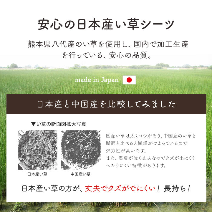 熊本県八代産の国産い草を使用したい草シーツ(寝ござ) 詩織 敷きパッド