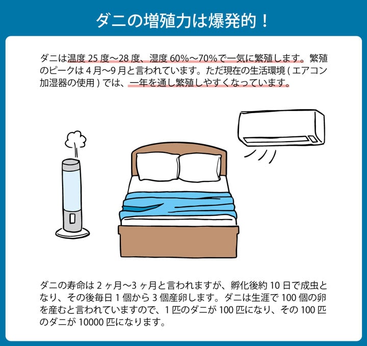 敷き布団 ダニ増殖抑制99%を実現する特殊滅ダニシートを使用