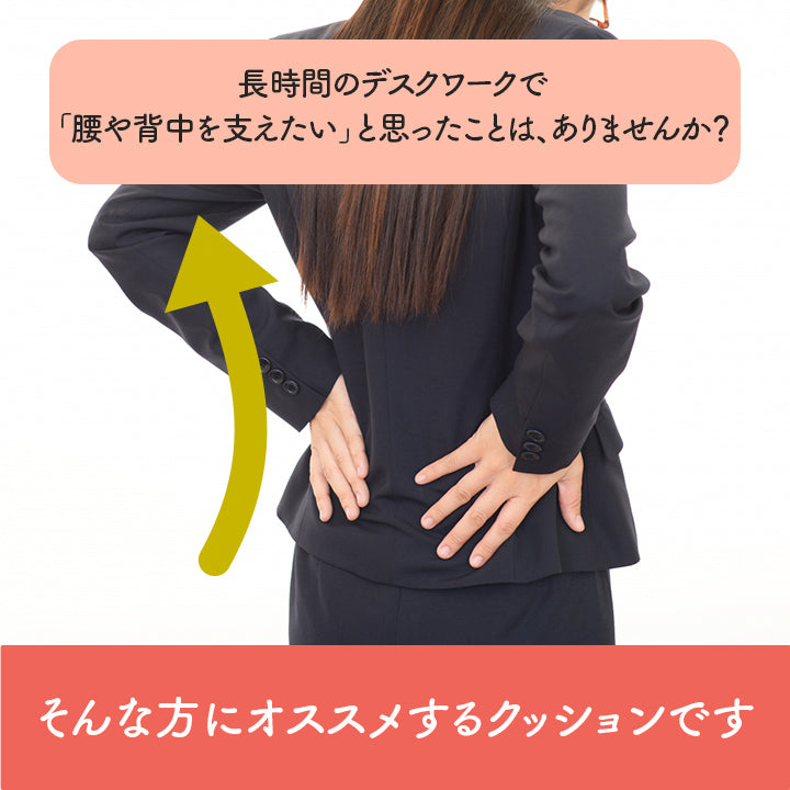腰と背中をサポートするクッション フィース
