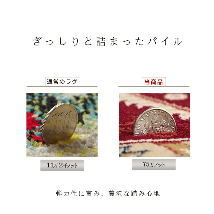 格調高いメダリオン柄ラグ トルコ製ウィルトン織りカーペット ベルミラ