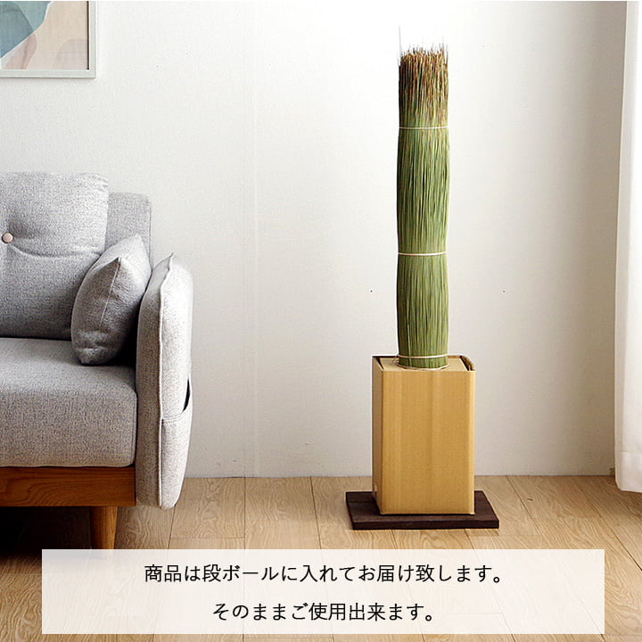 い草そのものをいかした消臭機能付きの観葉植物 畳のもと