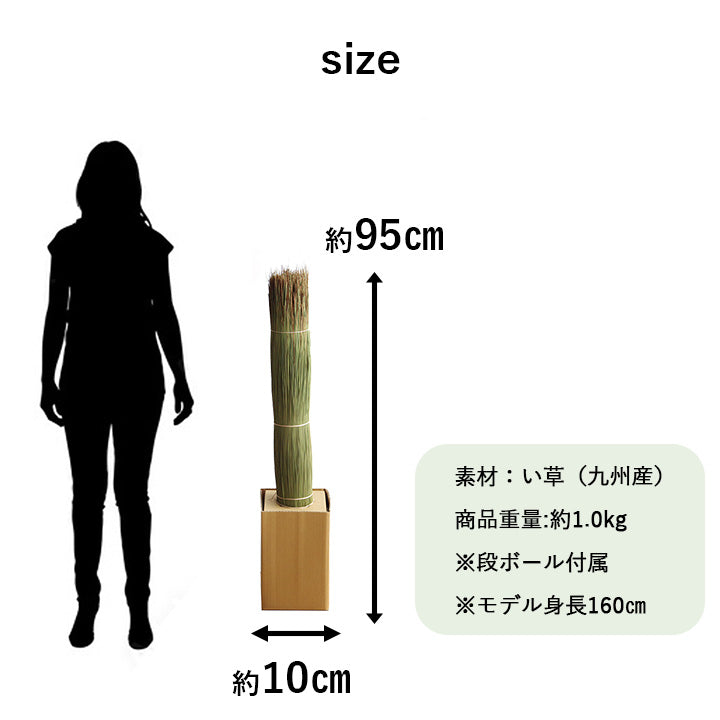 い草そのものをいかした消臭機能付きの観葉植物 畳のもと