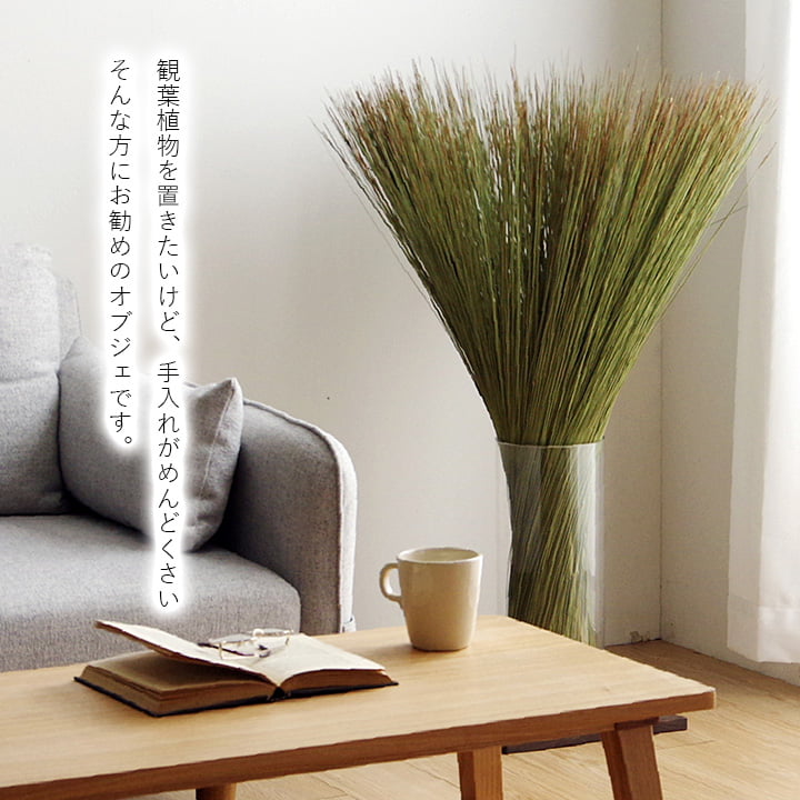い草そのものをいかした消臭機能付きの観葉植物 畳のもと