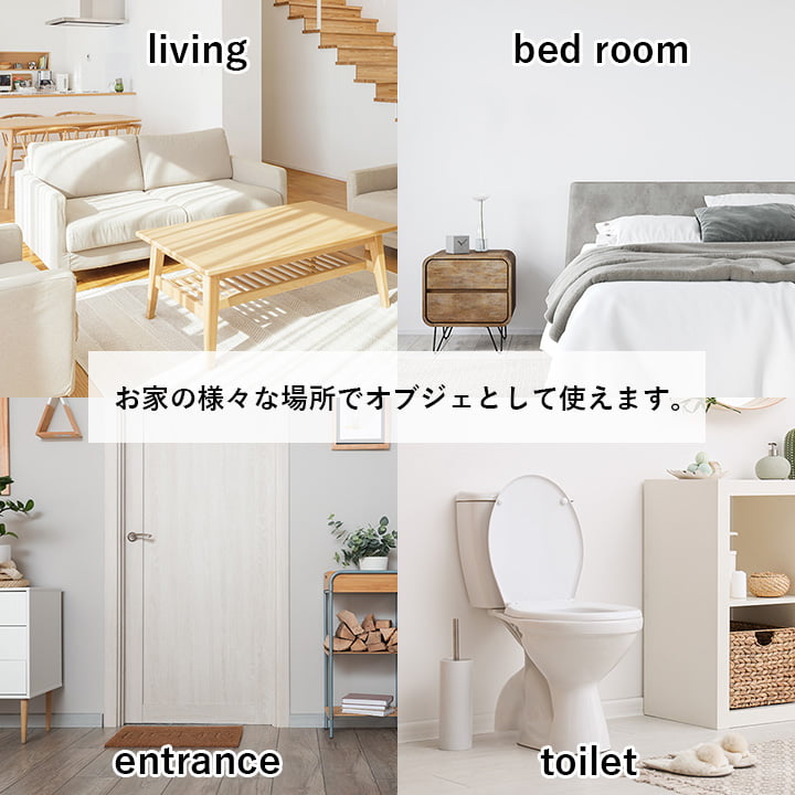 い草そのものをいかした消臭機能付きの観葉植物 畳のもと