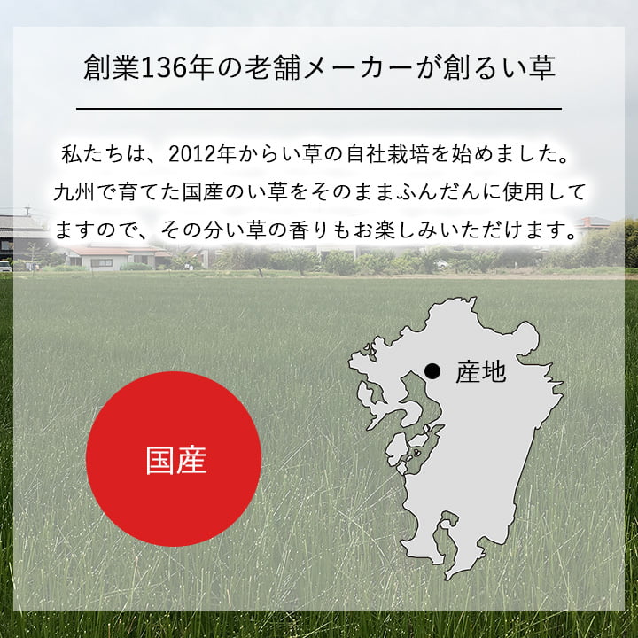 い草そのものをいかした消臭機能付きの観葉植物 畳のもと