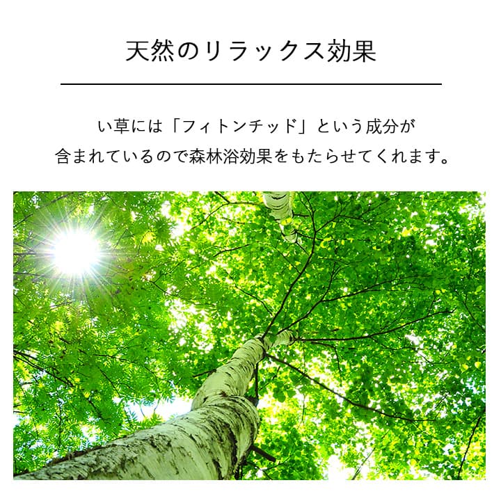 い草そのものをいかした消臭機能付きの観葉植物 畳のもと
