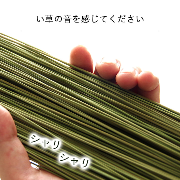 い草そのものをいかした消臭機能付きの観葉植物 畳のもと