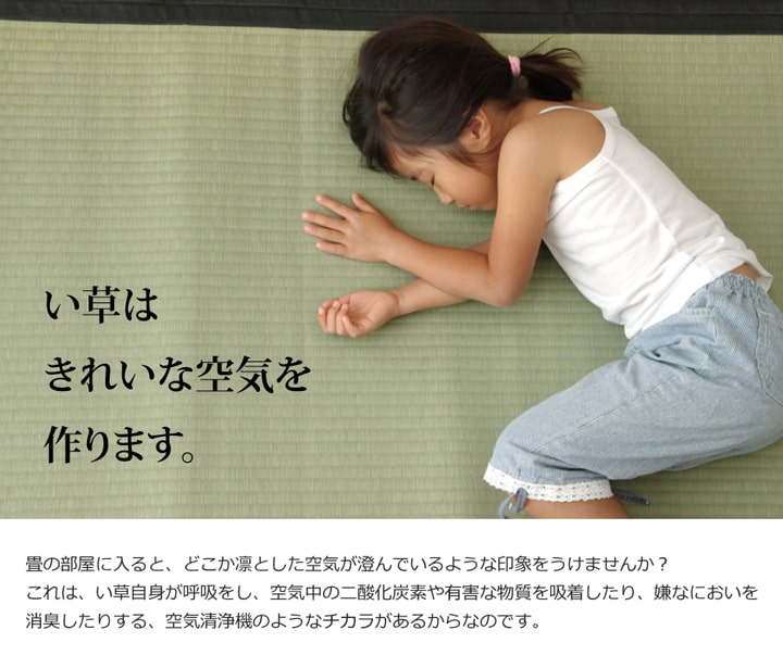 国産い草上敷き 清正 見た目の美しさと耐久性にこだわり抜いた上敷き 本間サイズ