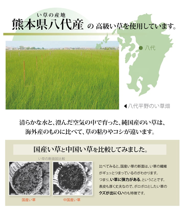 国産い草上敷き 清正 見た目の美しさと耐久性にこだわり抜いた上敷き 本間サイズ