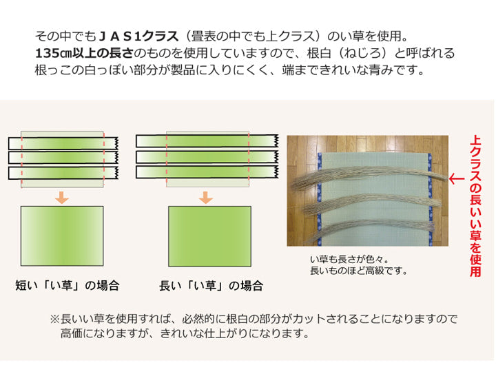 国産い草上敷き 清正 見た目の美しさと耐久性にこだわり抜いた上敷き 本間サイズ