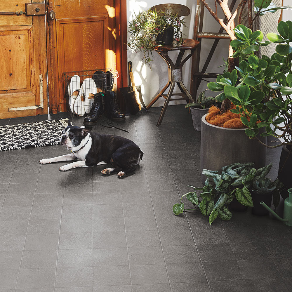 ペットとの暮らしにオススメのクッションフロアカーペット 犬猫対応 滑りにくい・抗菌・消臭