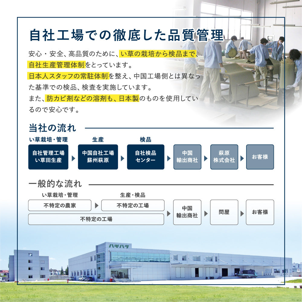 和モダンテイストのい草ラグ クレパス 中材にウレタンを約12mm入れた3層構造