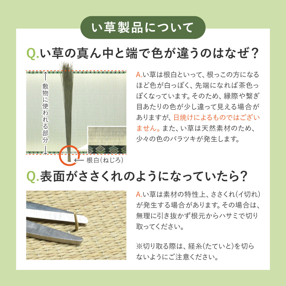 和モダンテイストのい草ラグ クレパス 中材にウレタンを約12mm入れた3層構造