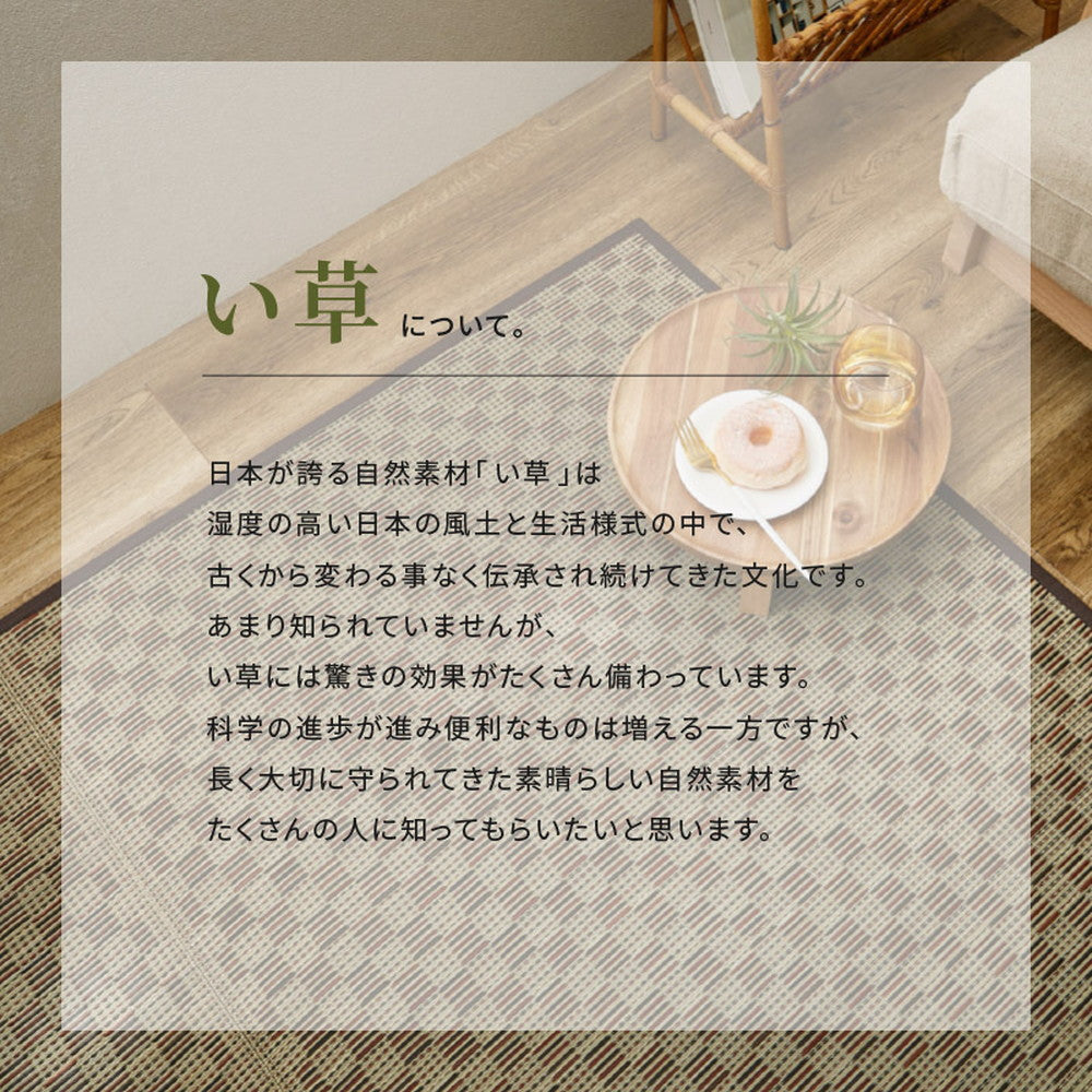 敷き詰めサイズのござカーペット 若月 本間サイズ 濃いめの染めい草を使った和モダン 上敷き 裏貼りなし