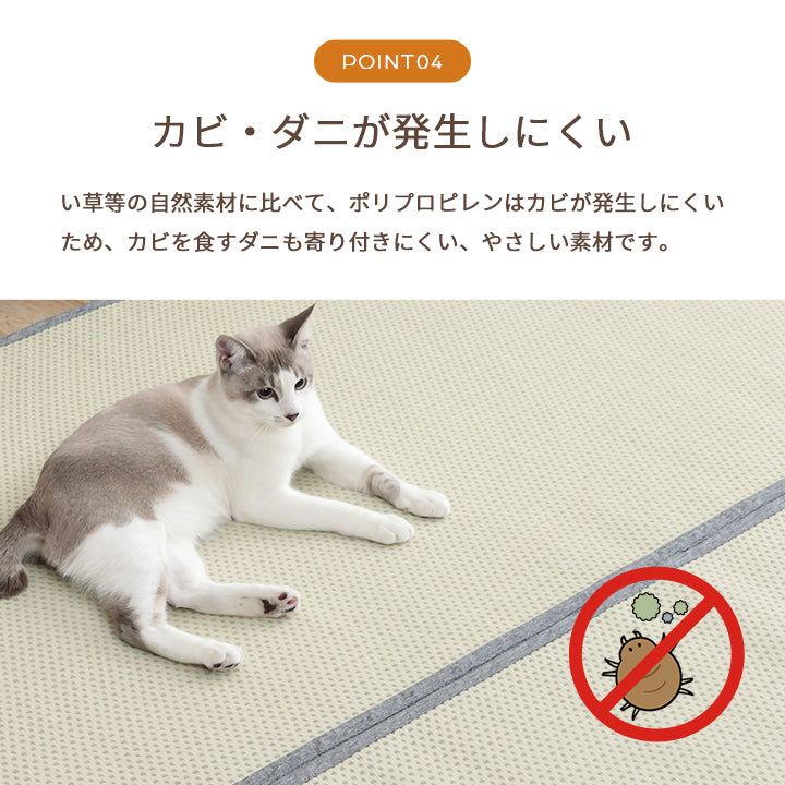 水洗いできるい草風カーペット 両面使えるリバーシブル仕様 ミーサ 江戸間サイズ