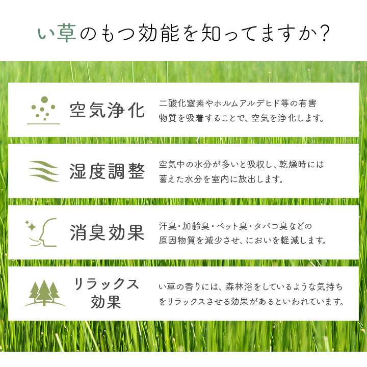 キリム柄の玄関マット 九州産のい草を使用