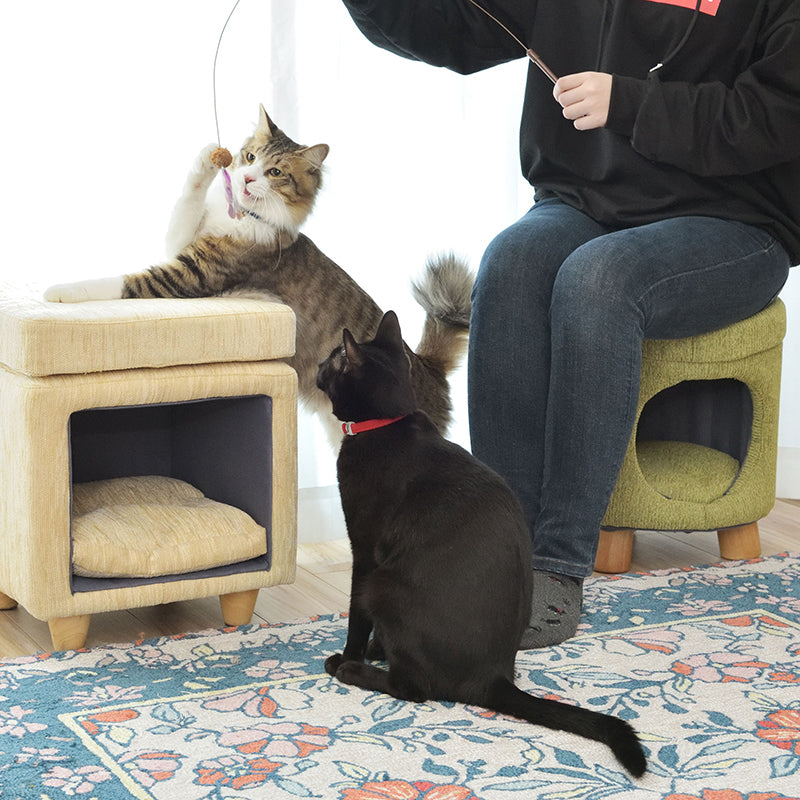 ペットがくつろげるペットハウススツール