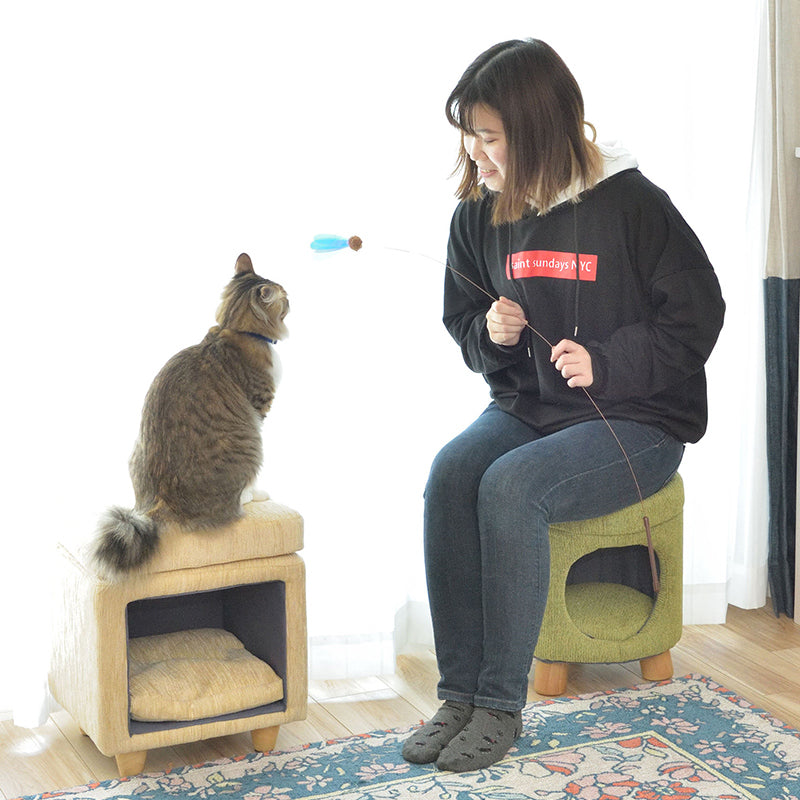 ペットがくつろげるペットハウススツール