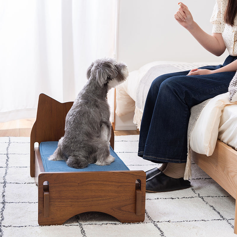 ペット専用のミニサイズのベッド