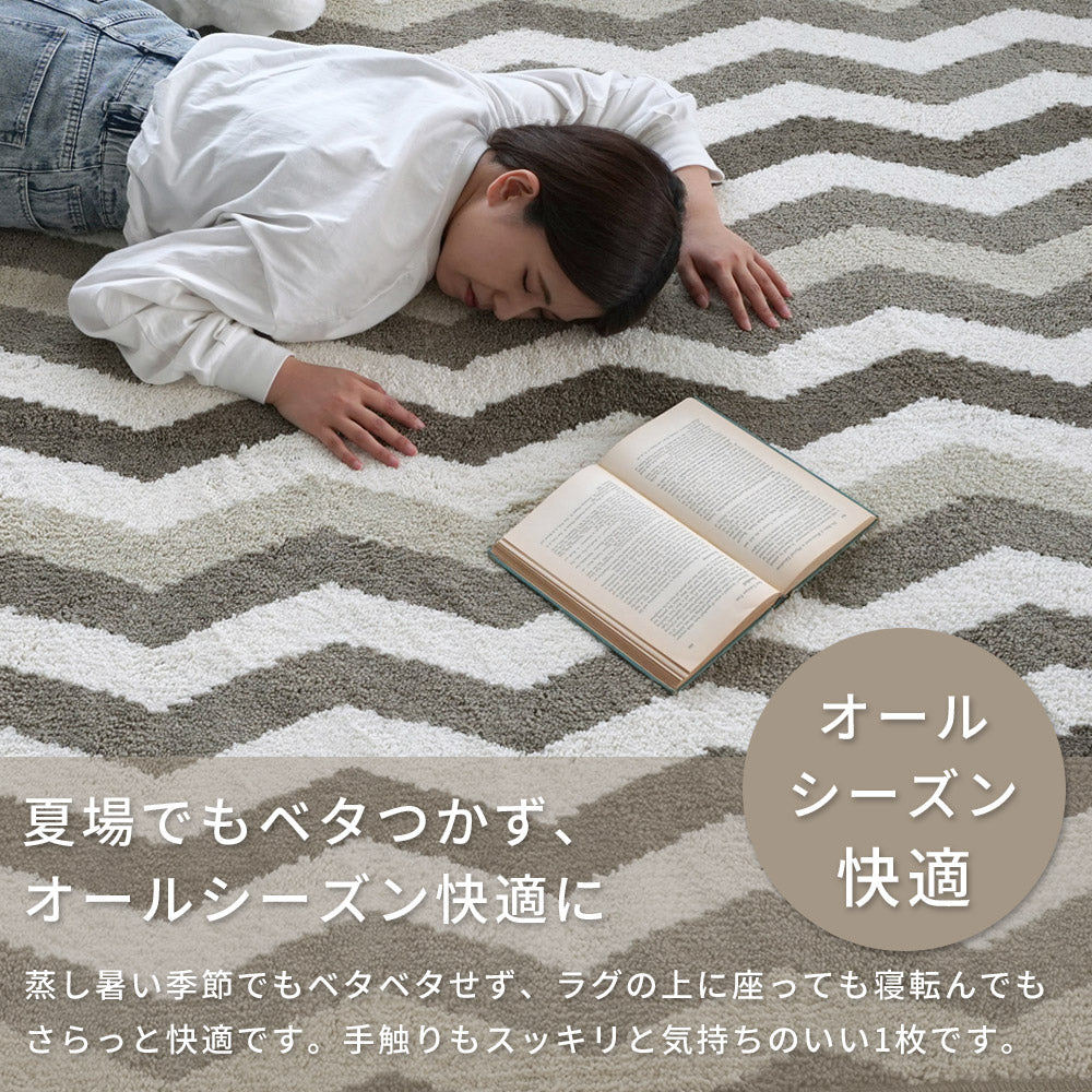 洗える抗菌防臭防ダニ デザインラグ