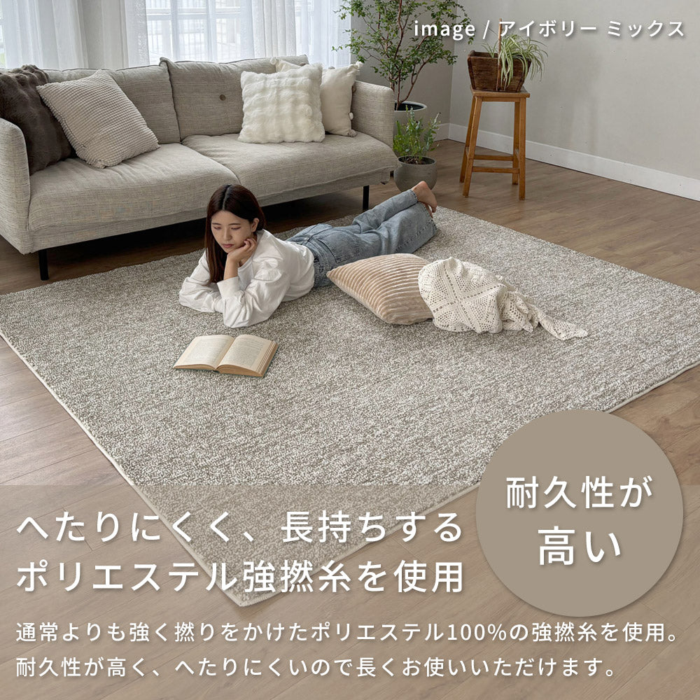 洗える抗菌・防臭・防ダニ ミックスラグ