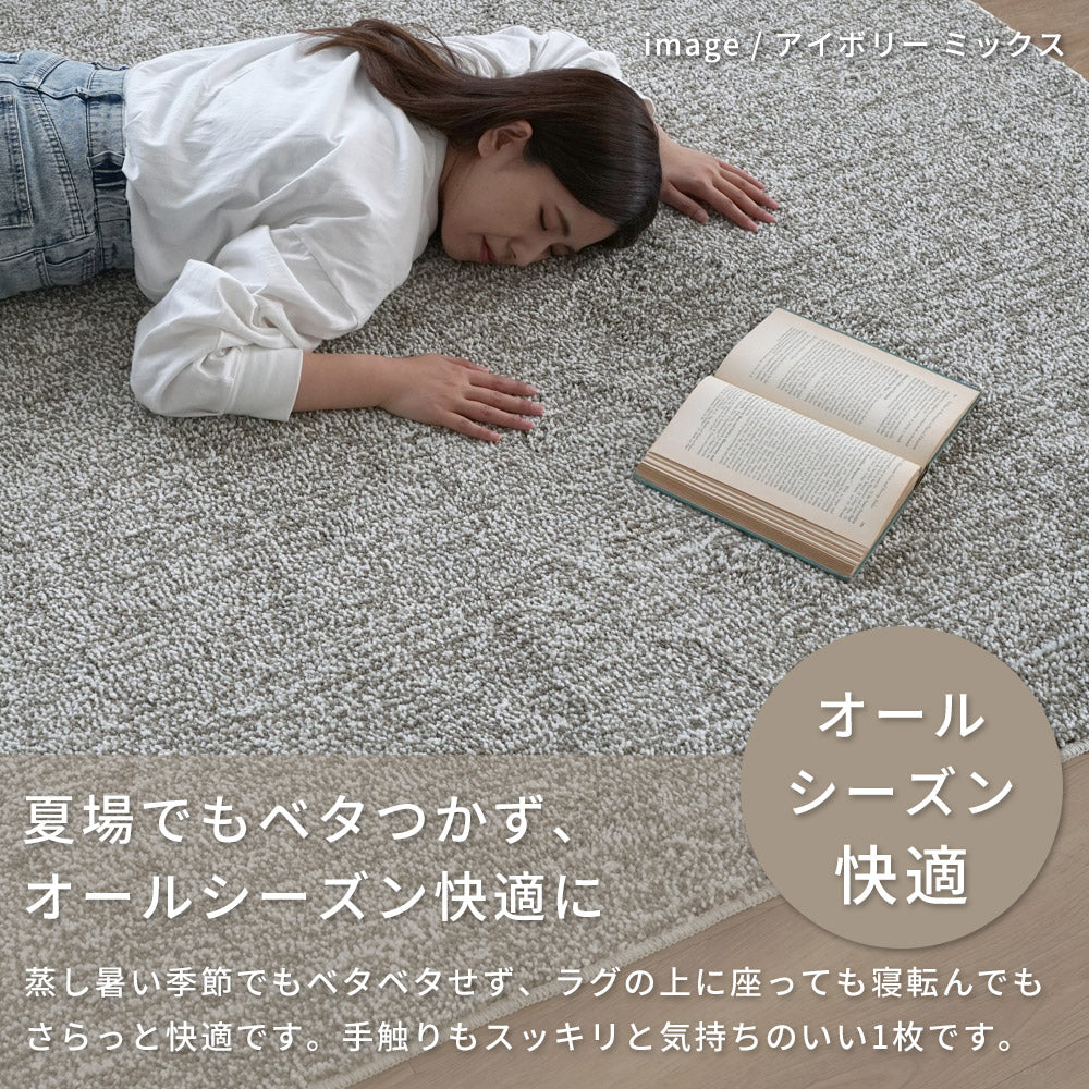 洗える抗菌・防臭・防ダニ ミックスラグ