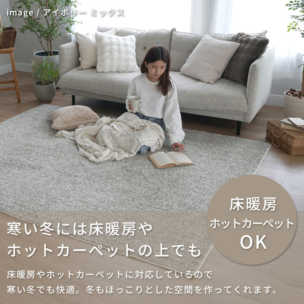 洗える抗菌・防臭・防ダニ ミックスラグ