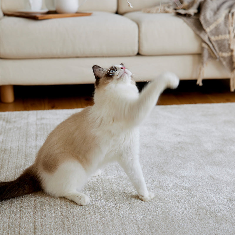 ペットとも快適に暮らせる消臭&防ダニラグ