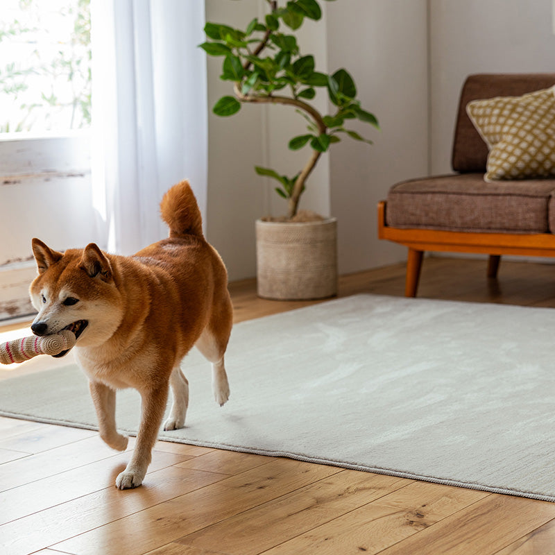 ペットとも快適に暮らせる消臭&防ダニラグ