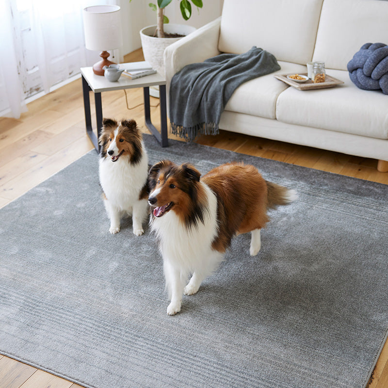 ペットとも快適に暮らせる消臭&防ダニラグ