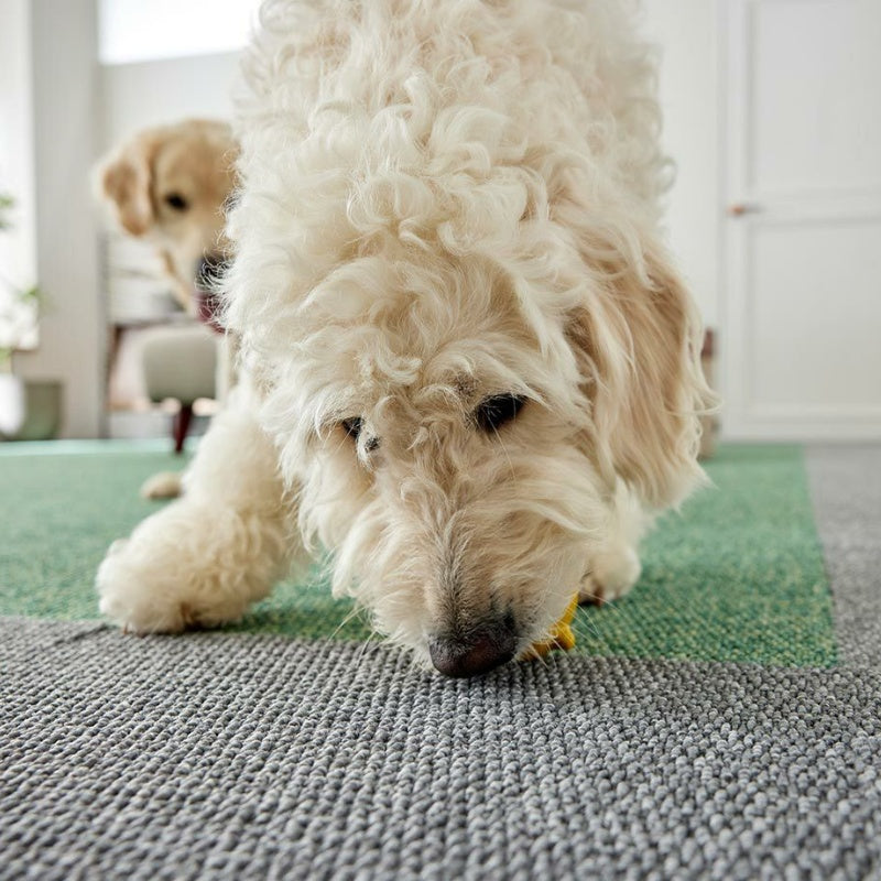 洗える家庭用タイルカーペット フローループ 40×40cm(10枚入り)