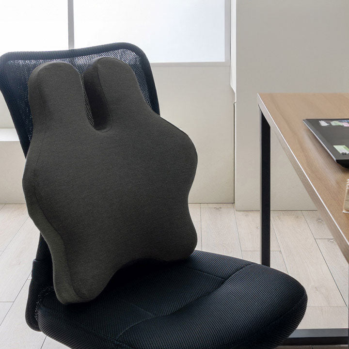 腰と背中をサポートするクッション フィース