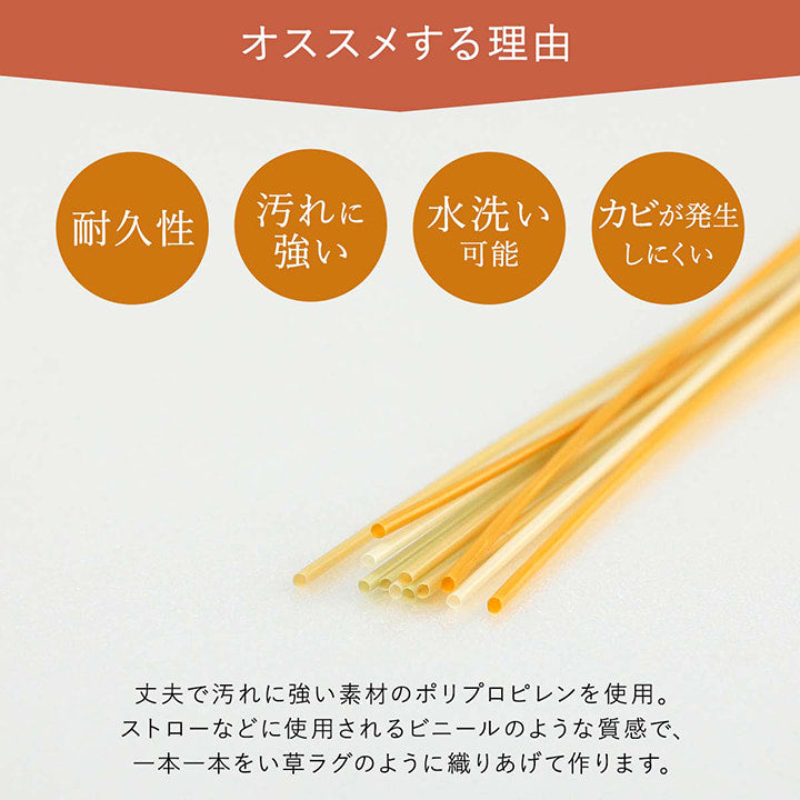 ペット対応の水洗いできるカーペット汚れに強く耐久性抜群!い草風デザイン 江戸間・本間サイズ