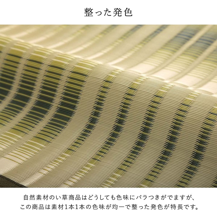 ペット対応の水洗いできるカーペット汚れに強く耐久性抜群!い草風デザイン 江戸間・本間サイズ