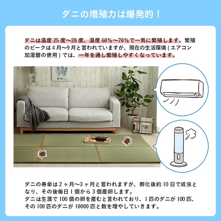 滅ダニシートを使用した置き畳 ダニ増殖抑制99%を実現する