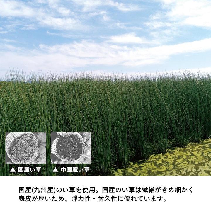 滅ダニシートを使用した置き畳 ダニ増殖抑制99%を実現する