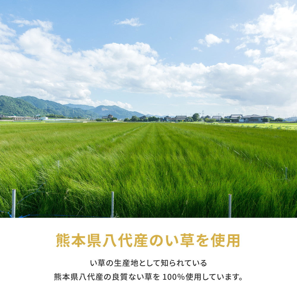 国産のい草と日本の職人の技術が織りなす引目織の上敷き 琥珀 本間サイズ