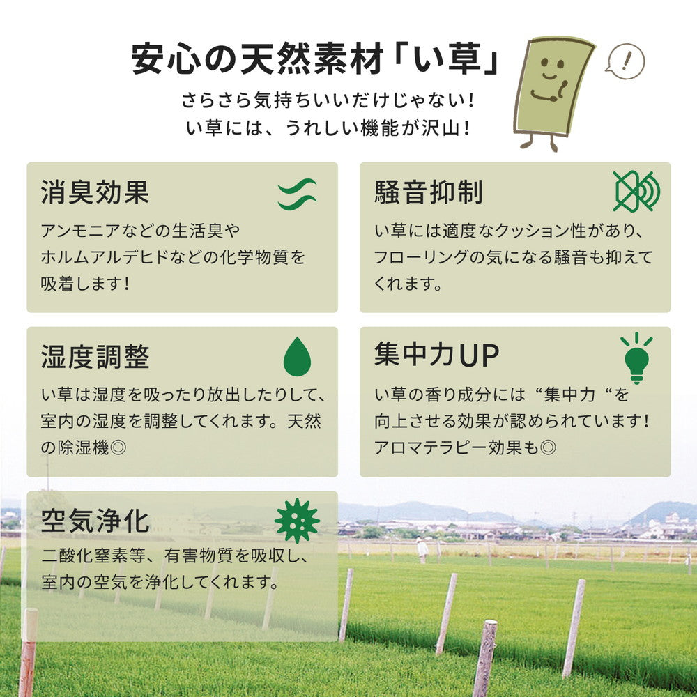 い草上敷き 柳川(やながわ)本間サイズ