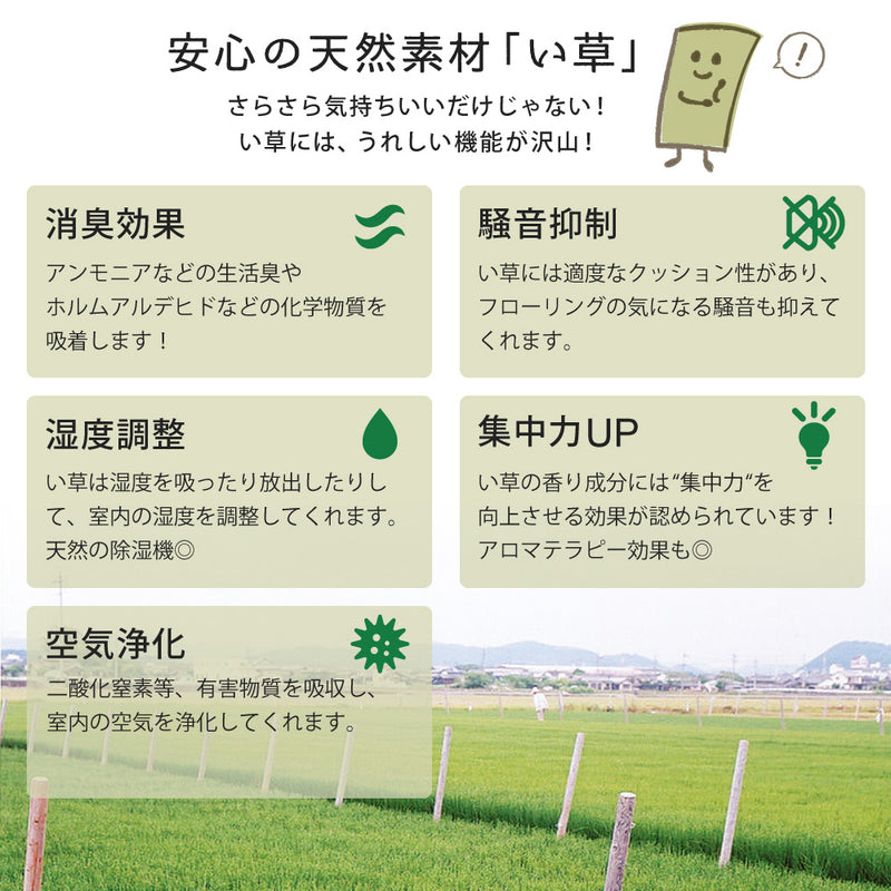 軽くて便利な置き畳 隙間スペースを有効活用 倉敷II 同色セット